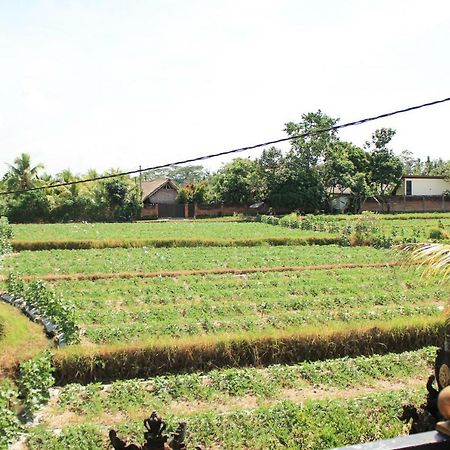 Hotel Ancut Sari Ubud Exterior foto